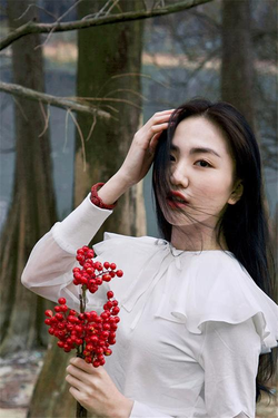 thermo脱色摇床工作原理示意图